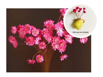 🎁🌸 Mini kerámia váza hűtőmágnes
