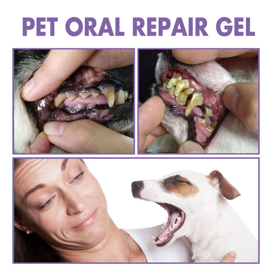 🐶🐱 Vásárolj egyet, kapsz egyet ingyen! Kisállat fogápoló gél