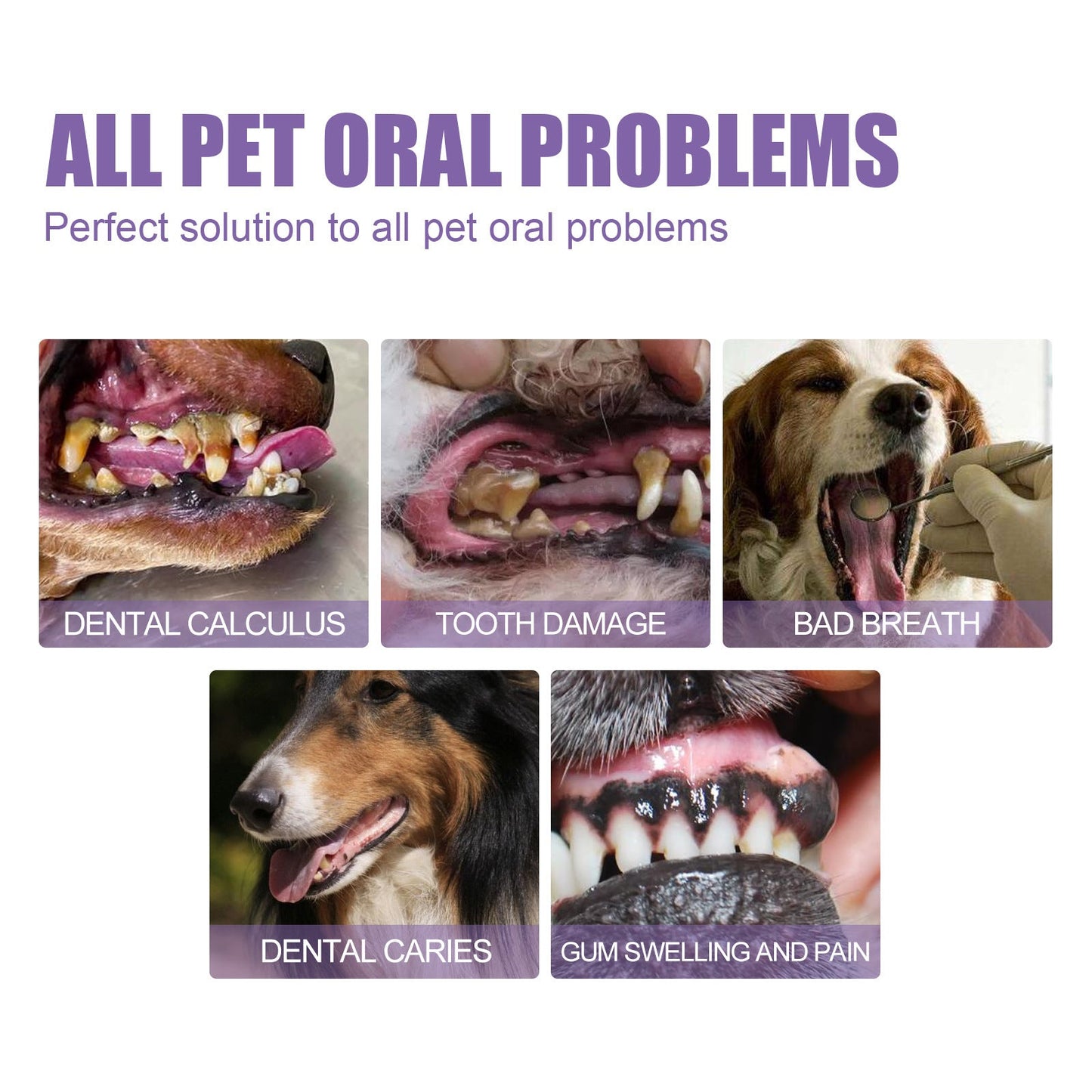 🐶🐱 Vásárolj egyet, kapsz egyet ingyen! Kisállat fogápoló gél