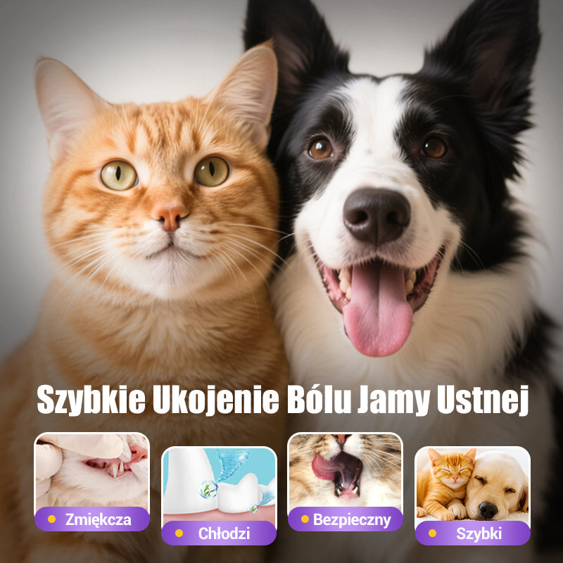 🐕Kup 1, otrzymaj 1 za darmo🐱 Żel do higieny jamy ustnej dla zwierząt🌈