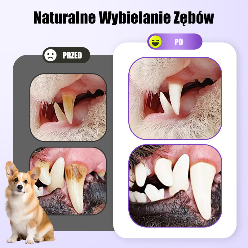 🐕Kup 1, otrzymaj 1 za darmo🐱 Żel do higieny jamy ustnej dla zwierząt🌈
