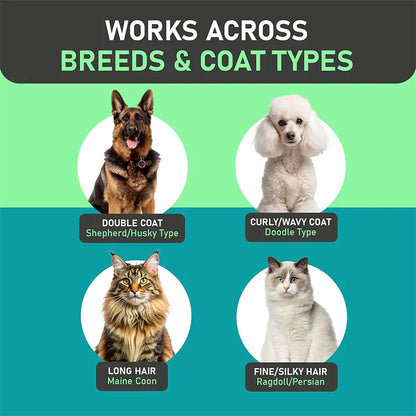 Téged is zavar a háziállat folyamatos szőrhullása otthon? 😩🐾 Kétoldalas fésű háziállatok szőrének eltávolításához – professzionális szőrtisztítás otthon!
