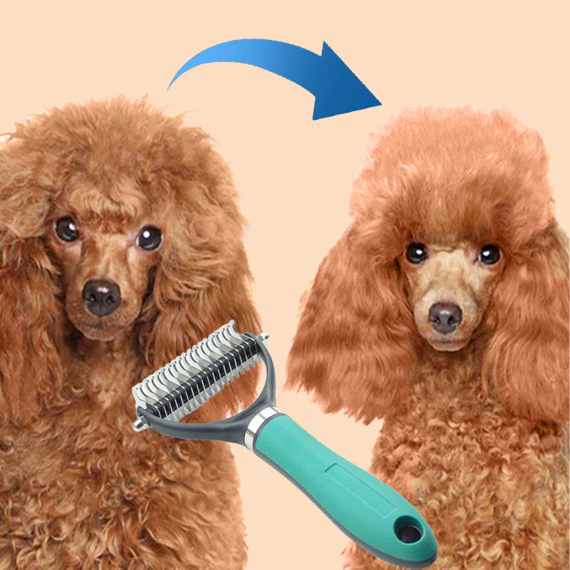 Téged is zavar a háziállat folyamatos szőrhullása otthon? 😩🐾 Kétoldalas fésű háziállatok szőrének eltávolításához – professzionális szőrtisztítás otthon!